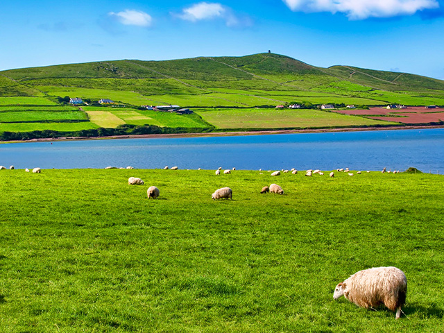 Paysage irlandais en colo de vacances ce printemps pour les 14-17 ans