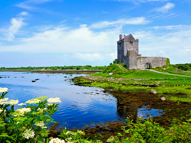 Chateau de Dunguaire Castel observé en colo de vacances en Irlande ce printemps