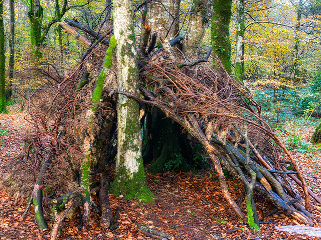 Cabane construite en colo de vacances ce printemps