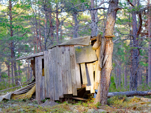 Construction de cabanes en colo de vacances ce printemps