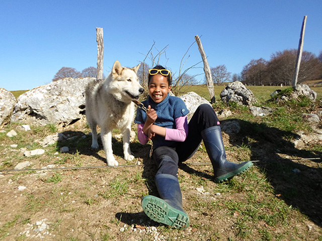 Activité cani rando en colo de vacances sport montagne à Hauteluce ce printemps