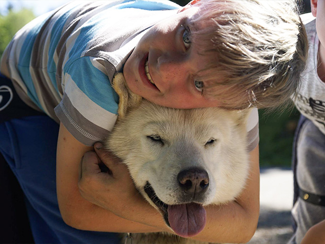 Activité cani rando en colo de vacances ce printemps