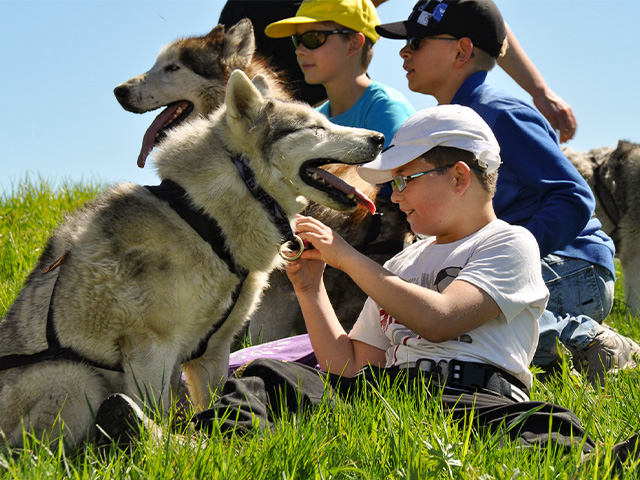 Groupe en activités qui font de la cani rando en colo