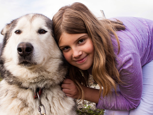 Activité cani rando en colo de vacances ce printemps