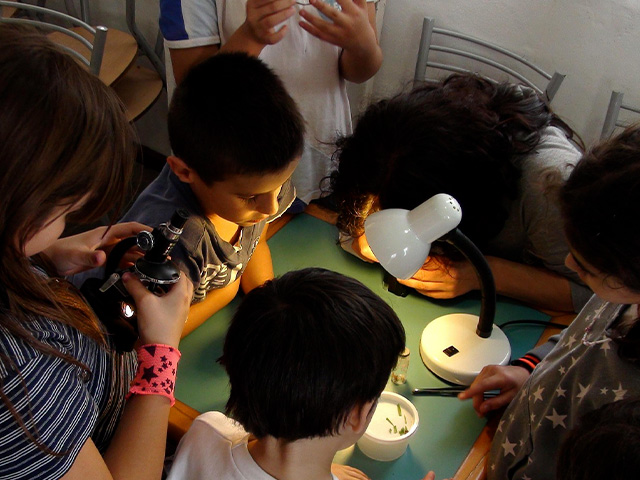 sejour enfant experiences sciences vacances printemps