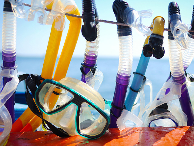masques et tubas lors d'une seance snorkeling colo printemps
