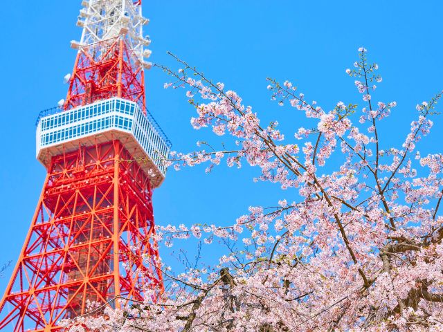Tokyo Tower en colo de vacances que les ados ont visité ce printemps