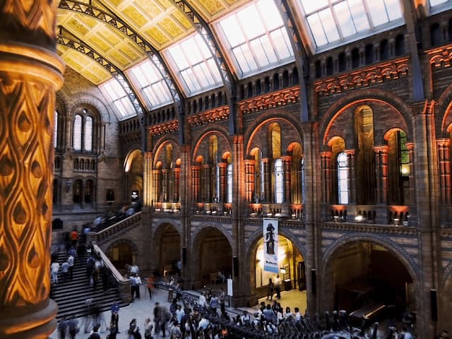 musee histoire naturelle angleterre londres sejour linguistique ados