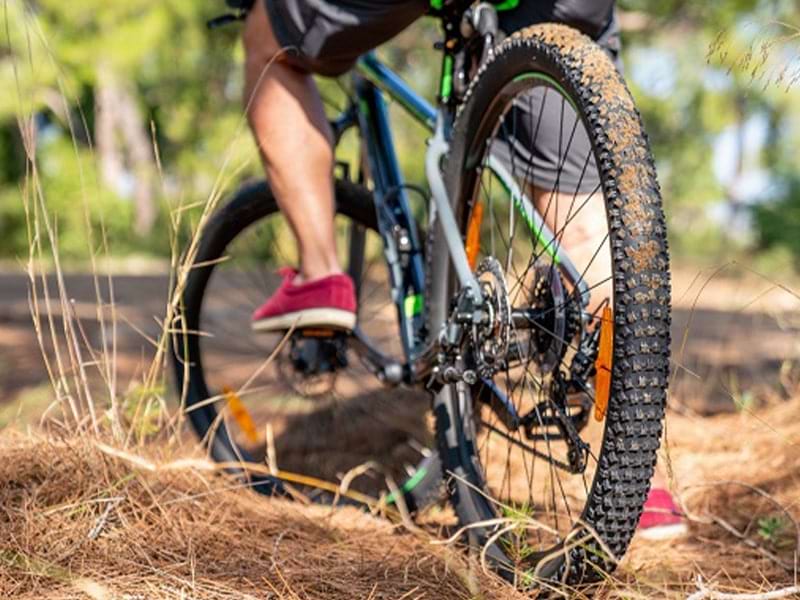 Roue d'un vélo qui avance dans un chemin lors d'une colo sportive Corps et Esprit durant le printemps