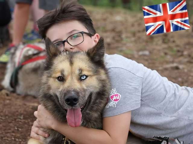 Portrait d'un enfant avec un chien en canirando en colonie de vacances