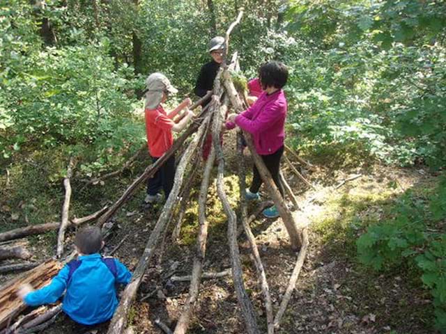 Enfants en train de construire une cabane dans les bois