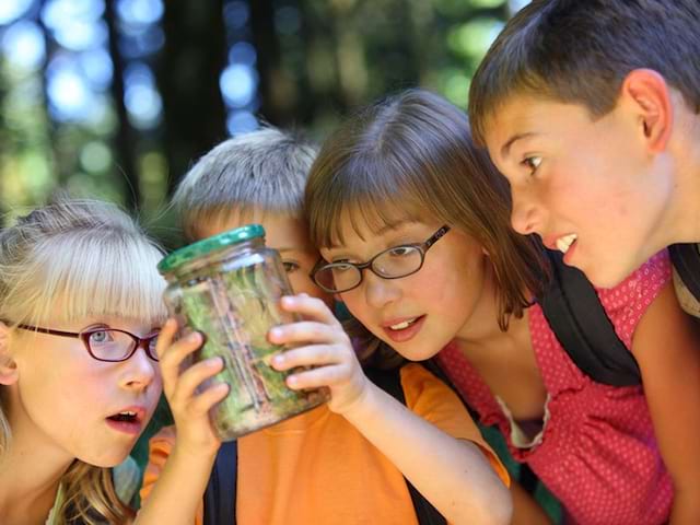 Groupe de jeunes enfants observant des insectes dans un bocal