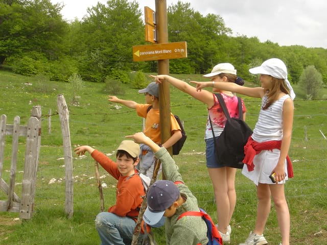 Enfants en course d'orientation en colonie de vacances à la campagne