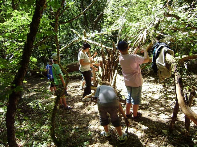 Enfants apprenant à bâtir une cabane dans les bois