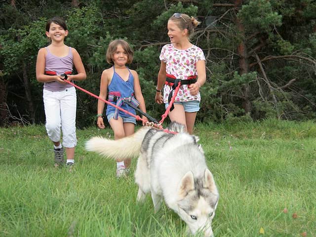 Fillettes accompagnées de leur chien en canirando