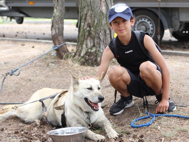 Enfant en cani rando avec son chien