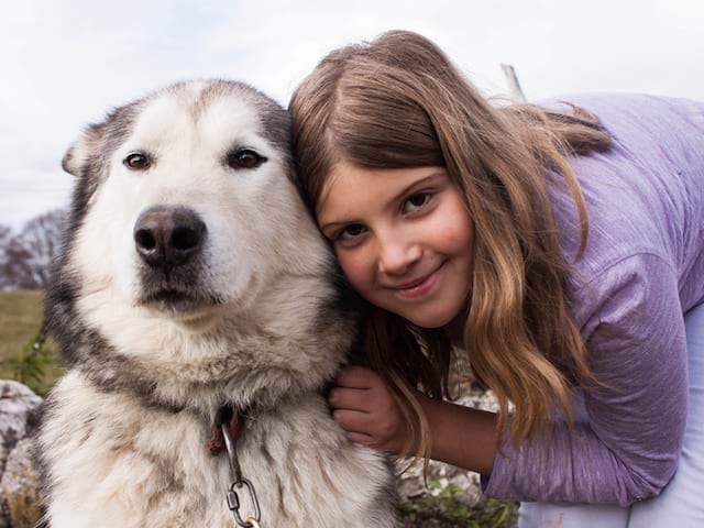 Portrait d'une enfant et son chien en canirando