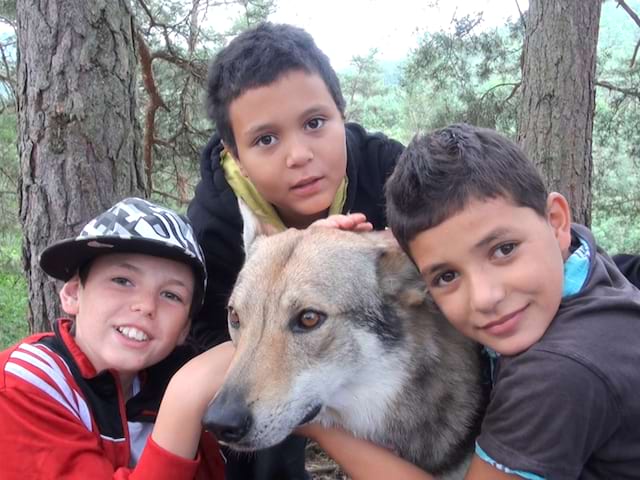 Portrait d'enfants autour d'un chien en canirando