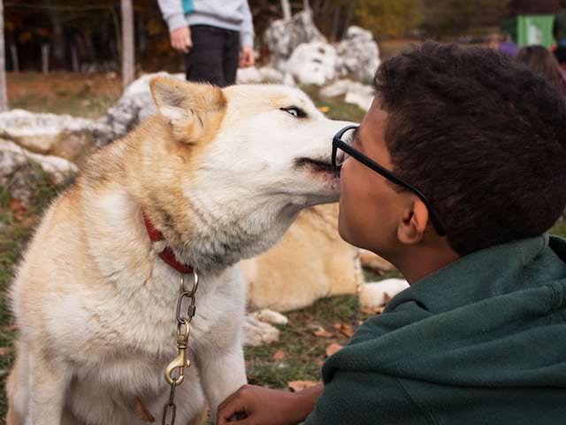 Portrait d'un enfant et un chien qui se font un bisou