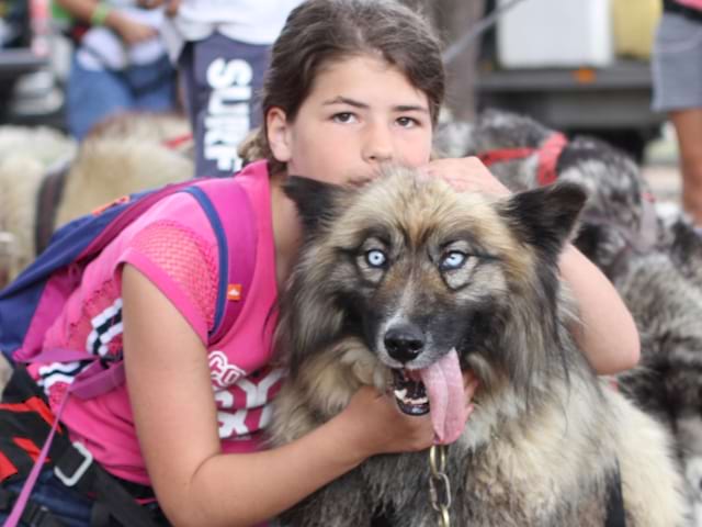 Portrait d'une jeune fille avec un chien en canirando