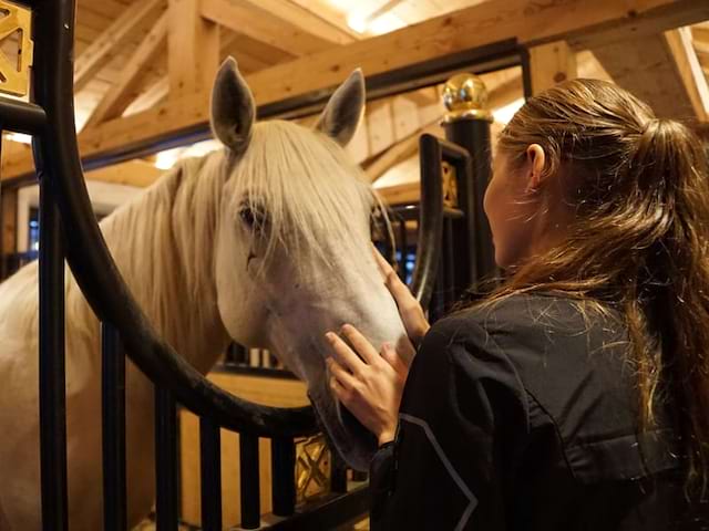 Adote et son cheval 