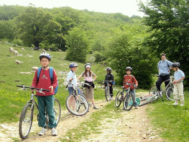 Groupe d'enfants en randonnée à vélo