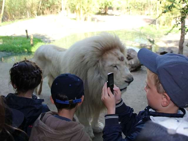 Enfants découvrant les animaux de la savane au zoo