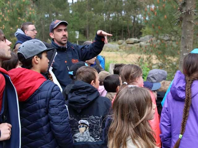 groupe d'enfants en colonie de vacances découvrant les animaux