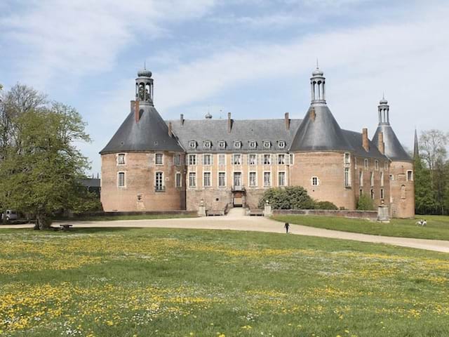 Chateau de Saint Fargeau 