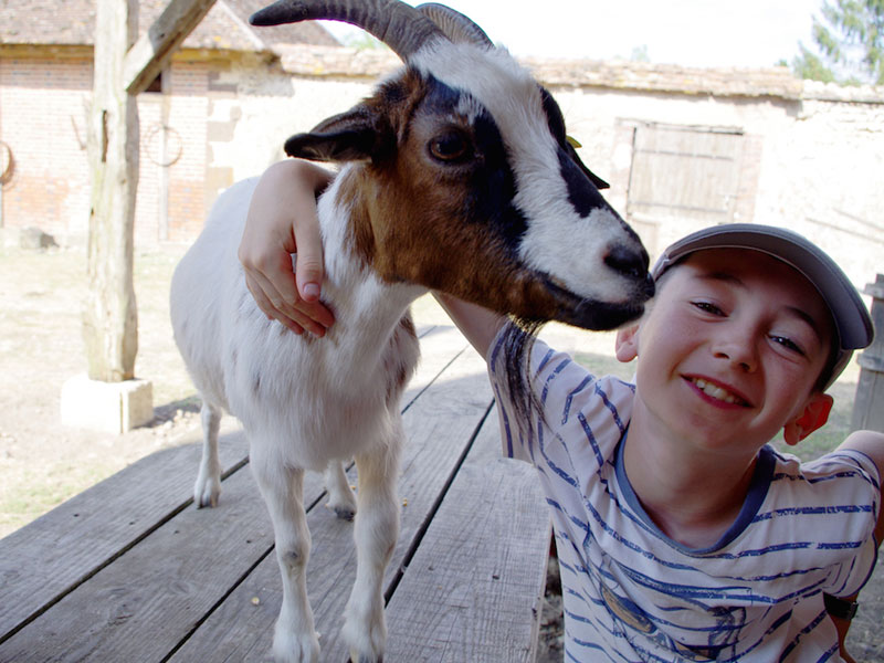 Portrait d'une enfant avec une chèvre en colonie de vacances