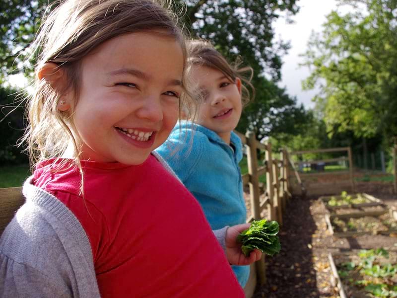 Enfants apprenant à s'occuper du potager en colo