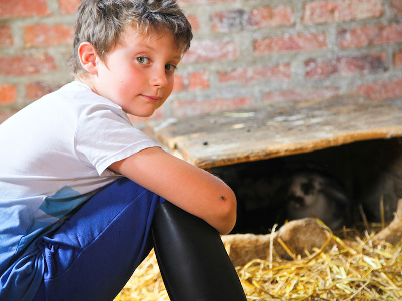 Enfant qui s'occupe des lapins à la ferme de la colonie de vacances