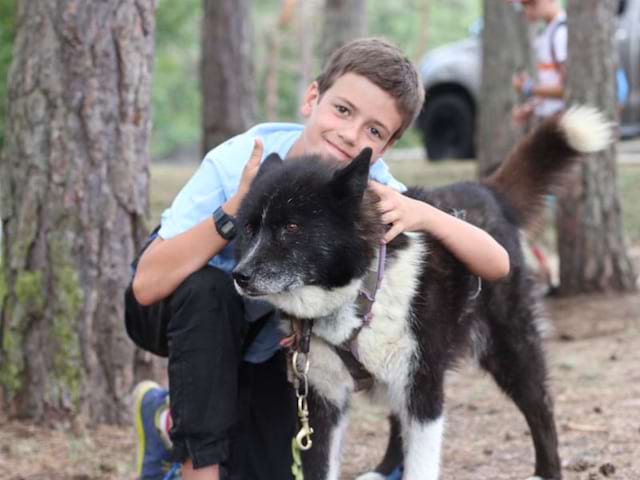 Portrait d'un enfant avec un chien en colonie de vacances à la montagne