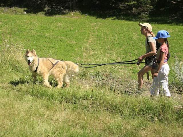 deux enfants en balade en canirando en colonie de vacances à la montagne