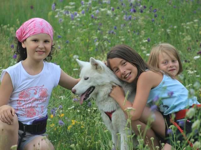 trois fillettes en colonie de vacances en compagnie d'un chien durant une séance de canirando