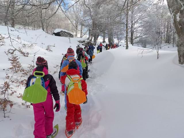 groupe d'enfants faisant de la luge en colonie de vacances neige