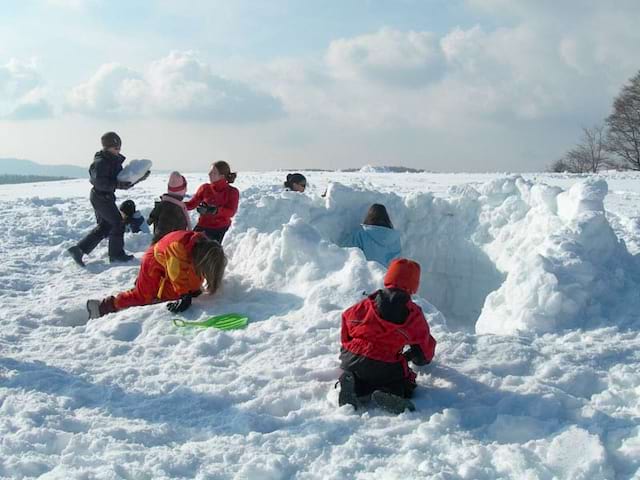 groupe d'enfants apprenant à faire un igloo en colonie de vacances neige