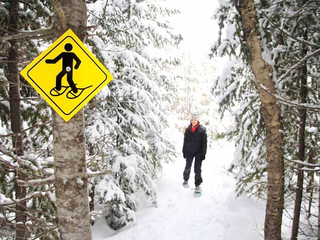 ado en balade à raquettes ce noel en colonie de vacances