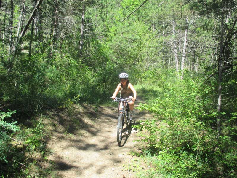 Enfant à vélo dans les bois 