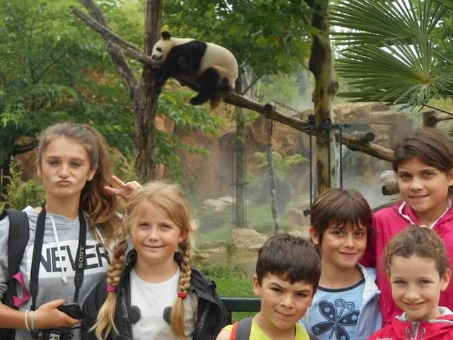 Groupe d'enfants au zoo parc de beauval en colonie de vacances à la toussaint