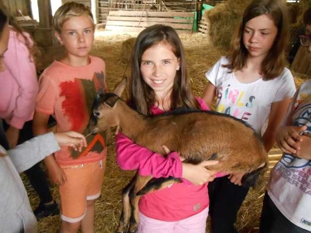 groupe de jeunes filles avec les animaux de la ferme en colonie de vacances à la ferme