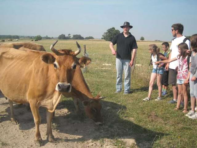 groupe d'enfants nourrissant les bovins en colonie de vacances cet automne