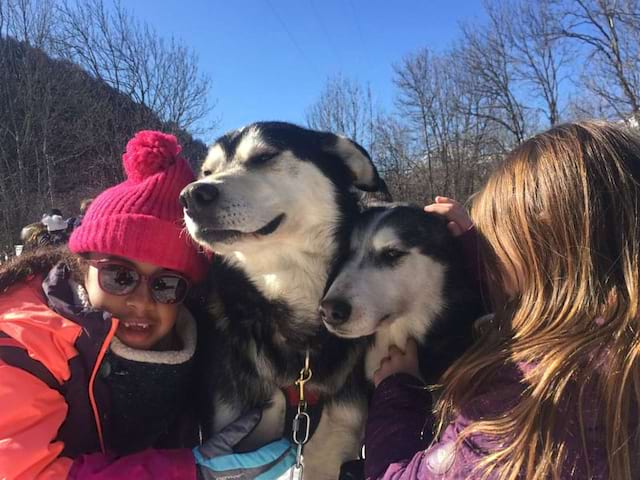 portrait de fillettes et des chiens de traineaux en colonie de vacances cet hiver