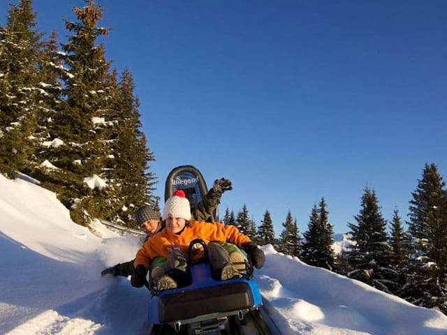 adolescents cet hiver faisant de la luge mountain twister en colo