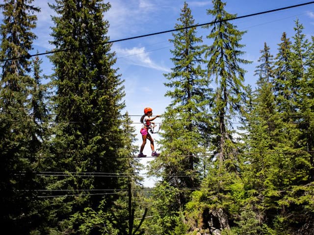 Fillette faisant de l'accrobranche en colonie de vacances à la montagne