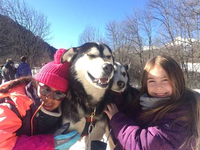 Portrait de fillettes avec des chiens de traineau en colonie de vacances