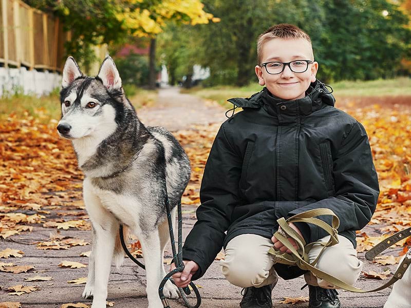 Jeune garçon avec son chien lors d'une activité cani-rando durant une colonie de vacances de cet automne