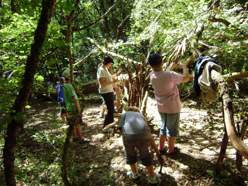 Activité construction de cabanes en foret en colonie de vacances durant la Toussaint
