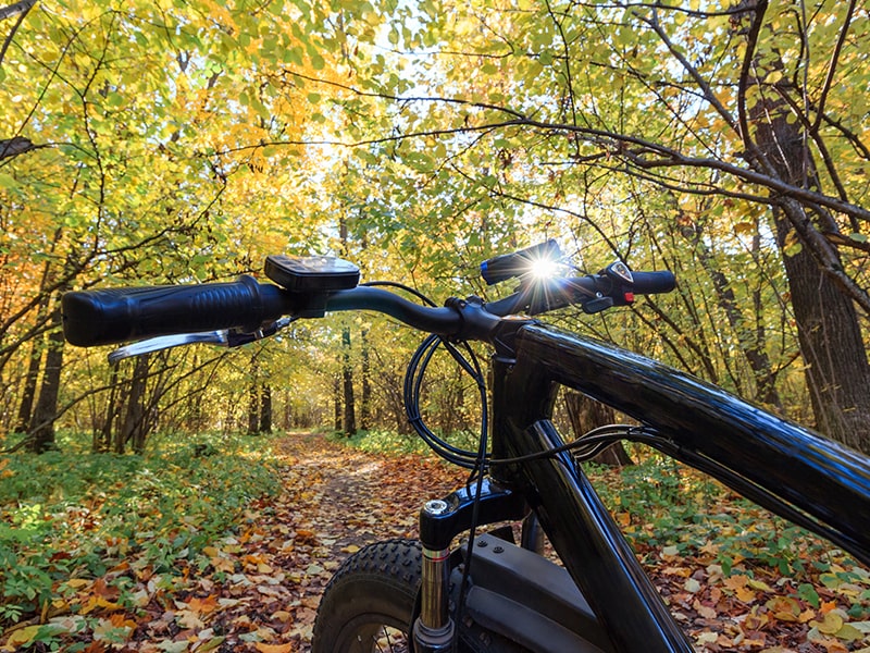 Activité fat bike en forêt durant l'automne