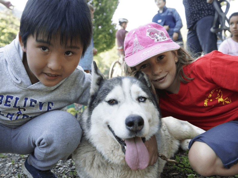 enfants et chien canirandonnée colonie